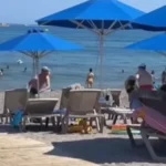 Turisti se potukli zbog ležaljke: Ljetovanje all inclusive, tuča gratis!