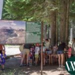 Biljke kao boje: Radionica „Slikaj biljkama“ donosi kreativni susret sa prirodom
