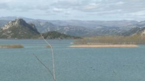 Spriječen krivolov na Skadarskom jezeru