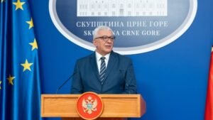 Madnić saziva hitnu sjednicu Savjeta za odbranu i bezbjednost