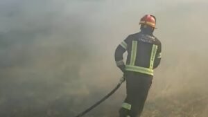 Aktivan jedan požar u nikšićkoj opštini, ostali požari pod kontrolu