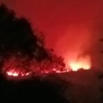 Bukti požar u selu Bezjovo u Kučima