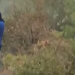 Građani i dobrovoljci u borbi protiv požara širom Crne Gore
