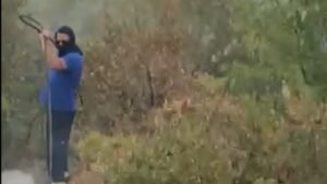 Građani i dobrovoljci u borbi protiv požara širom Crne Gore