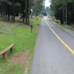 Spriječen pokušaj podmetanja požara na Gorici, traga se za počiniocima