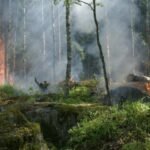 Otvoren račun za uplatu pomoći