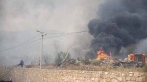 Humanost.com: Za porodice pogođene požarima, POŠALJI 58 NA 14565!