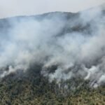 Potrebna baza podataka piromana i sistem rane dojave