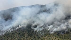 Potrebna baza podataka piromana i sistem rane dojave