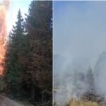 U Bijelom Polju požari pod kontrolom, vatrogasci intervenisali i u udesu