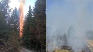 U Bijelom Polju požari pod kontrolom, vatrogasci intervenisali i u udesu