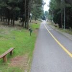 Rakočević: Ne radi se o slučajnim piromanima, već o udruženom kriminalnom poduhvatu