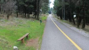 Rakočević: Ne radi se o slučajnim piromanima, već o udruženom kriminalnom poduhvatu