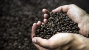 Prvi pad cijene kafe u godinu i po