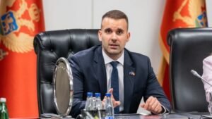 Spajić: Emirati šalju dva blackhawk helikoptera za pomoć u gašenju požara