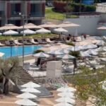 Pekić: Nadležni da utvrde kako je snimak pokušaja ubistva procurio u javnost