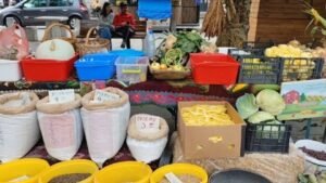 Ulaganje u domaću poljoprivredu ključno za održivi razvoj Kolašina i sjevera Crne Gore