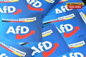 Njemački sud saopštio da obavještajna služba ne može da označi stranku AfD kao desničarsku
