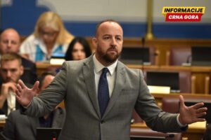 Nikolić: Vlast gura zakone o ANB-u i unutrašnjim poslovima ispod radara