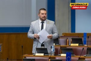 Mikić: Cirkus u Skupštini sramota u režiji Andrije Mandića i parlamentarne većine