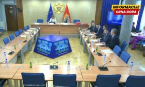 Vujačić jedina kandidatkinja za članicu SAMU