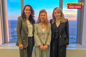 Delegacija CBCG u Frankfurtu razmijenila iskustva sa važnim evropskim partnerima