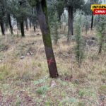 Divlja gradnja i u zaštićenim zonama