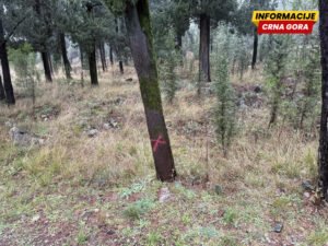 Divlja gradnja i u zaštićenim zonama