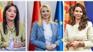 “Ispitati odgovornost pojedinaca koji su vrijeđali Naidu Nišić”