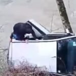 Bijelo Polje: Spasio muškarca koji je sletio u rijeku