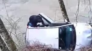 Bijelo Polje: Spasio muškarca koji je sletio u rijeku