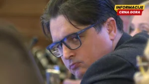 Specijalna izvestiteljka UN pisala Vladi zbog “Mrdićevih zakona”: Rizik od političkog pritiska, odmazde, narušavanja nezavisnosti