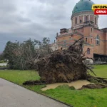 FOTO, VIDEO / Potresni prizori s Mirogoja, vjetar počupao stabla, popadala su po grobovima