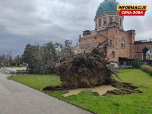 FOTO, VIDEO / Potresni prizori s Mirogoja, vjetar počupao stabla, popadala su po grobovima