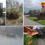 FOTO, VIDEO / Kaos zbog nevremena: Vjetar ruši sve pred sobom, tisuće bez struje. Na Sljemenu stablo palo na aute zarobljenih profesora
