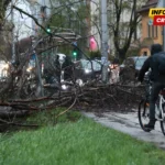 Nevreme napravilo haos u Hrvatskoj: U Zagrebu povređeno nekoliko osoba, vetar obarao drveće i semafore