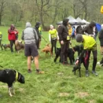 Prva trail trka sa psima u Beogradu: Zašto je važno da trčite sa svojim psom