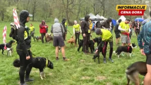 Prva trail trka sa psima u Beogradu: Zašto je važno da trčite sa svojim psom