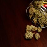 Uhapšena dvojica Nikšićana: Policija pronašla marihuanu