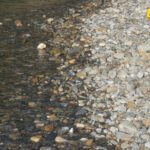 Bjelopoljac pronašao eksplozivnu napravu u koritu Lima