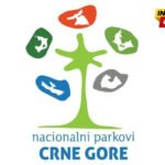 UP: Gazdić, Đuretić, Martinović i Bulatović osumnjičeni za uništenje životne sredine i štetu od preko pet miliona eura