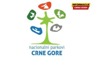 UP: Gazdić, Đuretić, Martinović i Bulatović osumnjičeni za uništenje životne sredine i štetu od preko pet miliona eura