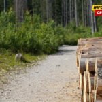 Utvrdiće koliko će bivših radnika biti isplaćeno nakon što dobiju sve podatke