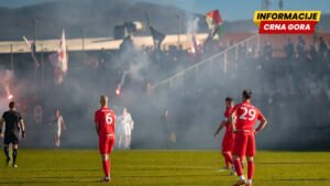 Čelik: Odluke prevazilaze okvir disciplinskog djelovanja i dovode…