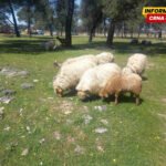 NVO Buša: Odgovor Ministarstva predstavlja pokušaj relativizacije ozbiljnog problema koji više nije moguće ignorisati