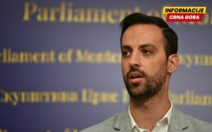 Zirojević: Evropski savez će tražiti ocjenu ustavnosti Zakona o unutrašnjim poslovima