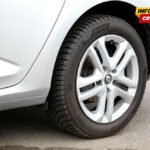 Državljanin BiH vozilom usmrtio srnu u Bijelom Polju