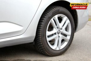 Državljanin BiH vozilom usmrtio srnu u Bijelom Polju