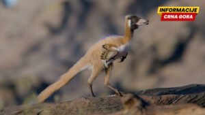 Najmanji među najvećima: Novo otkriće iz svijeta dinosaurusa