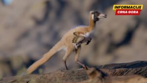 “Izvanredan” fosil jednog od najmanjih dinosaurusa pronađen u Argentini